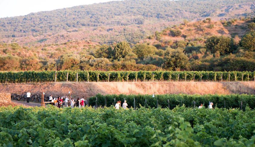 degustazione vini catania - tour enogastronomici sicilia