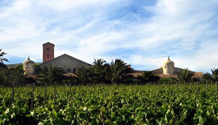 degustazione vini sicilia - tenuta la lumia