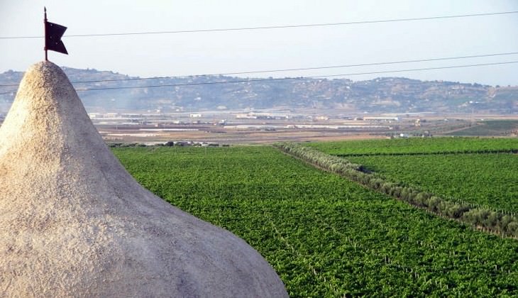 degustazione vini sicilia - tenuta la lumia