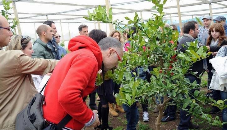 dove mangiare a ragusa - azienda agricola ragusa