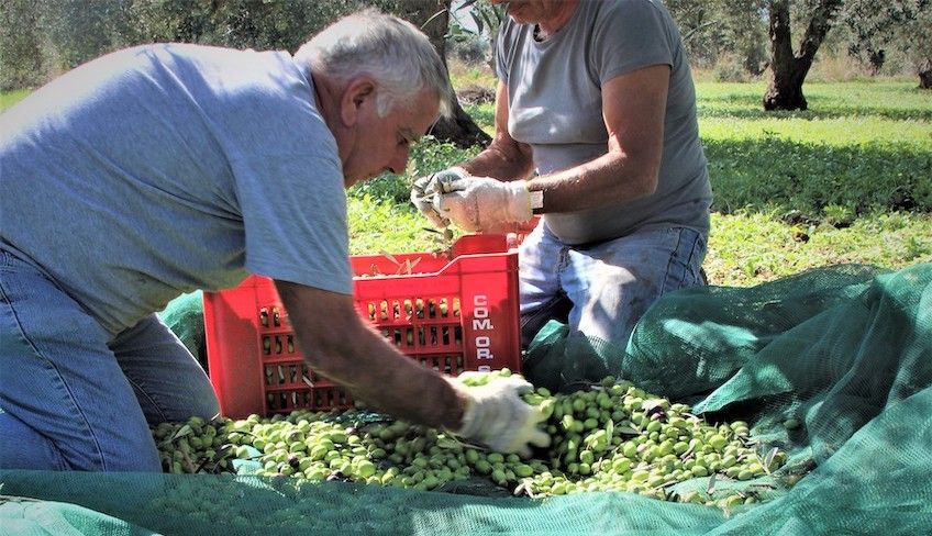 ragusa cosa visitare - cosa vedere vicino ragusa