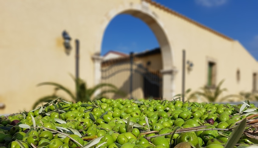 ragusa cosa visitare-cosa vedere vicino ragusa-cosa fare a ragusa