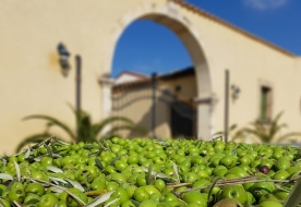 ragusa cosa visitare-cosa vedere vicino ragusa-cosa fare a ragusa