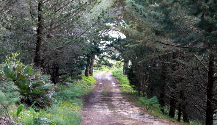 Bosco Di Alcamo - Trekking Trapani