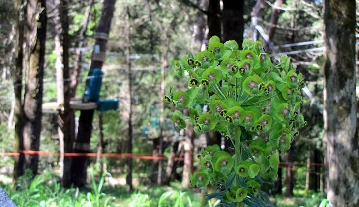 bosco di alcamo - trekking trapani