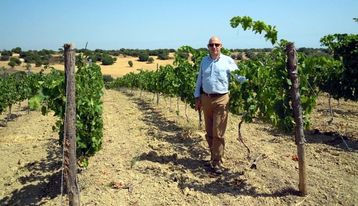 cantine ragusa - aziende vinicole ragusa