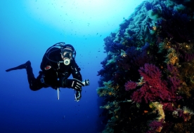 diving trapani - diving marsala 