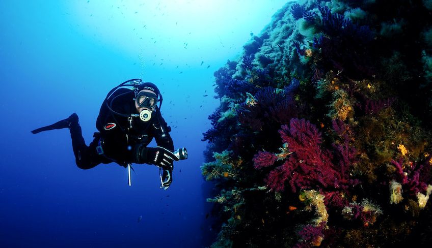 diving trapani - immersioni marettimo