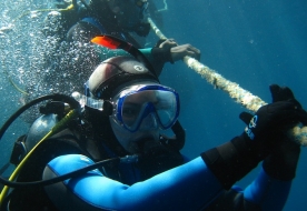 diving trapani - diving marsala 