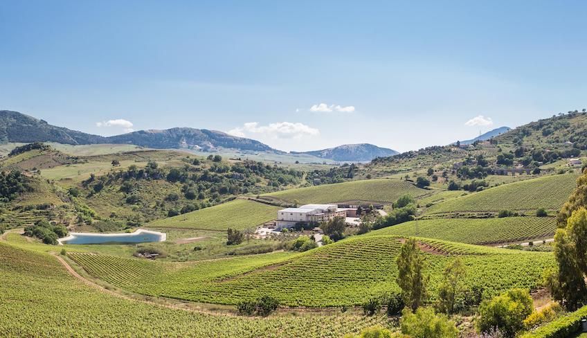 cantine a Marsala - degustazione vini donnafugata