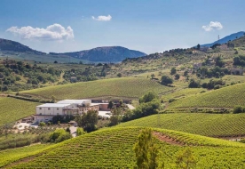 cantine a Marsala - degustazione vini donnafugata 