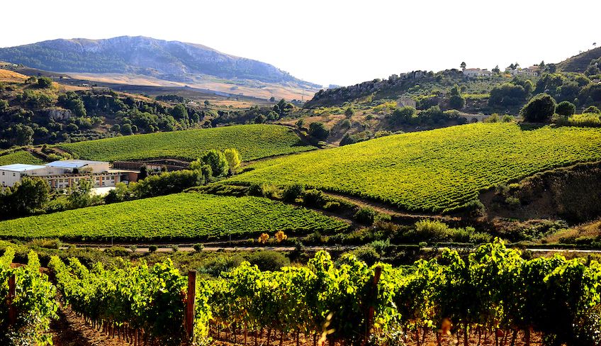 cantine a Marsala - degustazione vini donnafugata