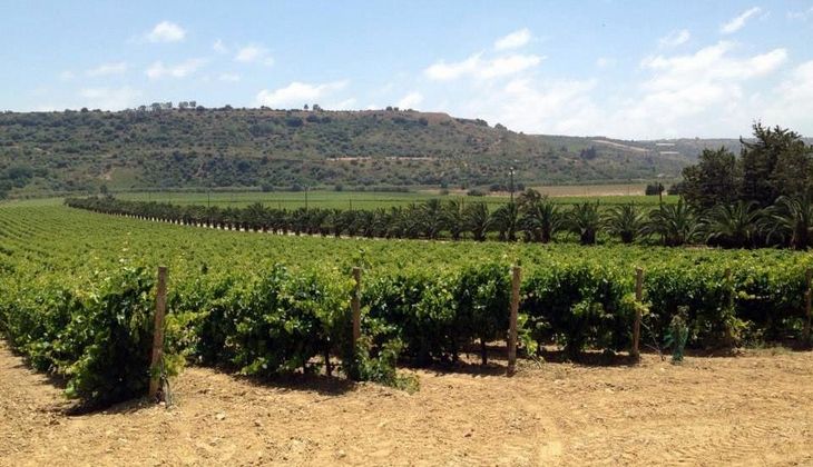 mangiare a ragusa - cantine a ragusa