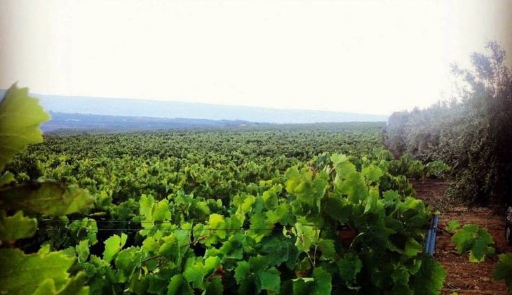 mangiare a ragusa - cantine a ragusa