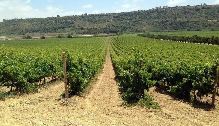 mangiare a ragusa - cantine a ragusa