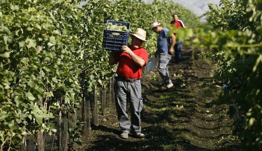 degustazione vini etna - mangiare sull'etna