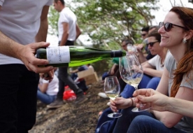 degustazione vini etna mangiare sull'etna cantine siciliane