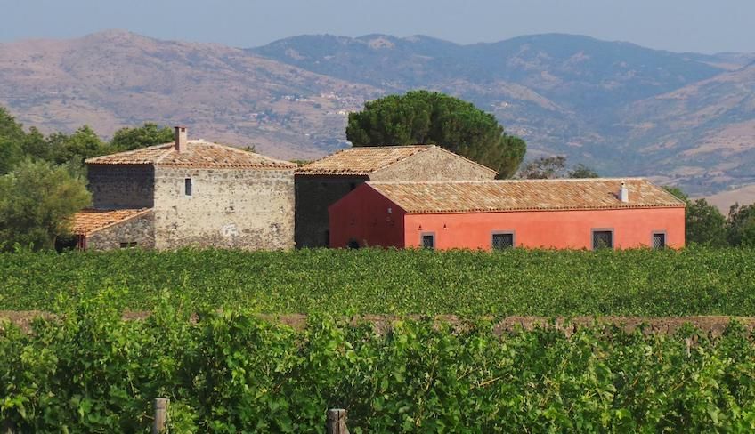 degustazione vini etna - mangiare sull'etna