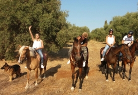 passeggiate a cavallo siracusa - maneggio siracusa 