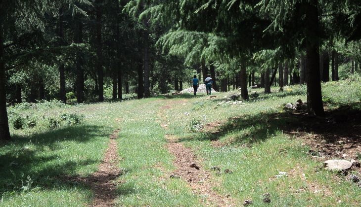 parco madonie - trekking madonie