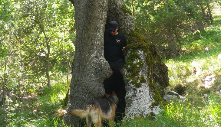 parco madonie - trekking madonie