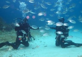 Scuba Diving Taormina