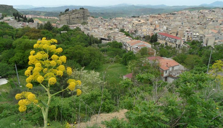 cosa visitare a palermo e dintorni - cosa vedere a corleone