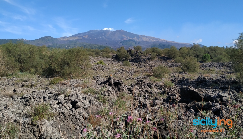 etna vista