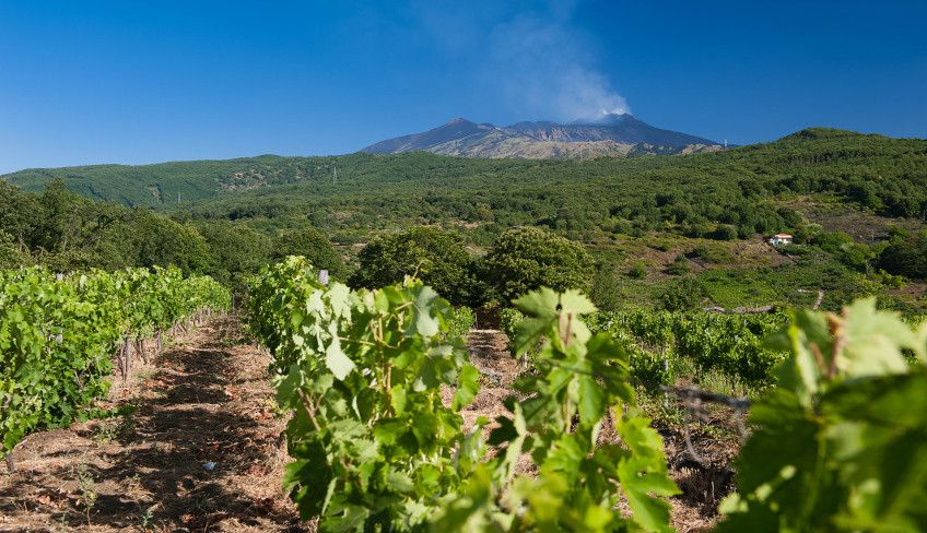 Cantine Etna - Cosa vedere sull'Etna