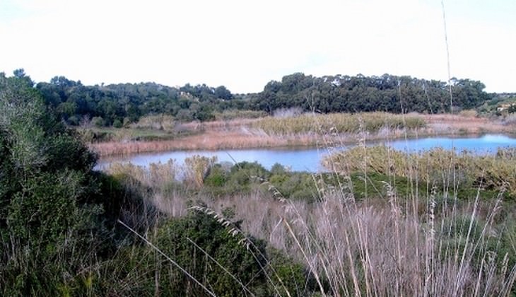 riserve naturali sicilia - birdwatching sicilia