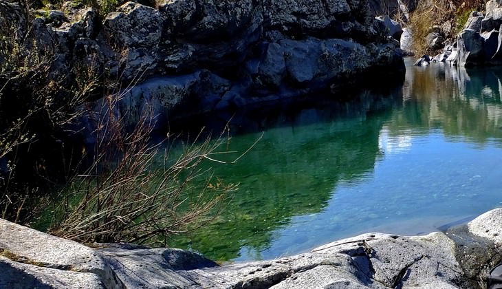 riserve naturali sicilia - birdwatching sicilia