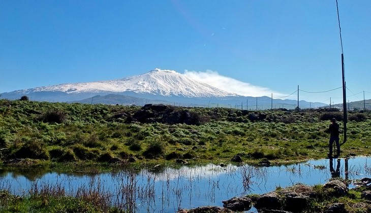 riserve naturali sicilia - birdwatching sicilia