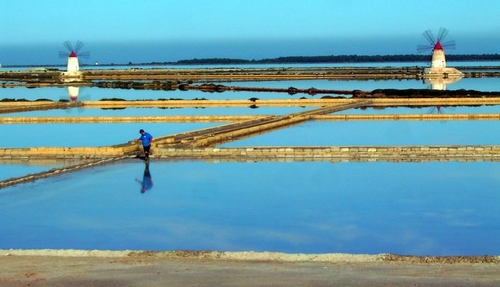 riserve naturali sicilia - birdwatching sicilia