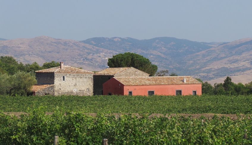 degustazione vini etna - degustazione vini sicilia