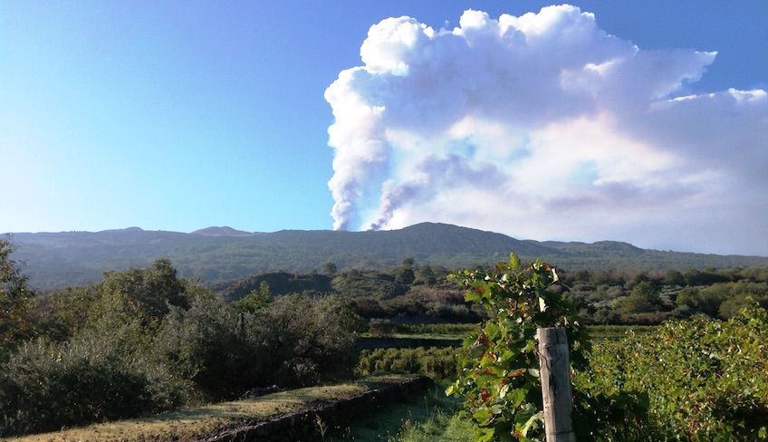 degustazione vini etna - degustazione vini sicilia