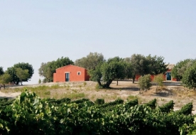 posti da visitare a noto-degustazione vini noto-noto e dintorni cosa visitare 