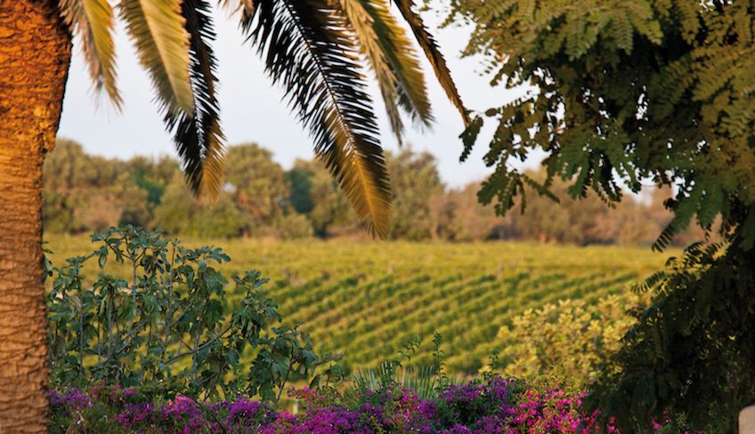 degustazione vini noto - cosa fare a noto 