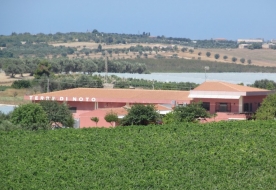 degustazione vini noto - cosa visitare a noto 