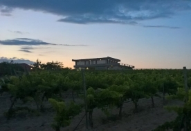 azienda agricola noto-degustazione vini noto-cosa fare a noto