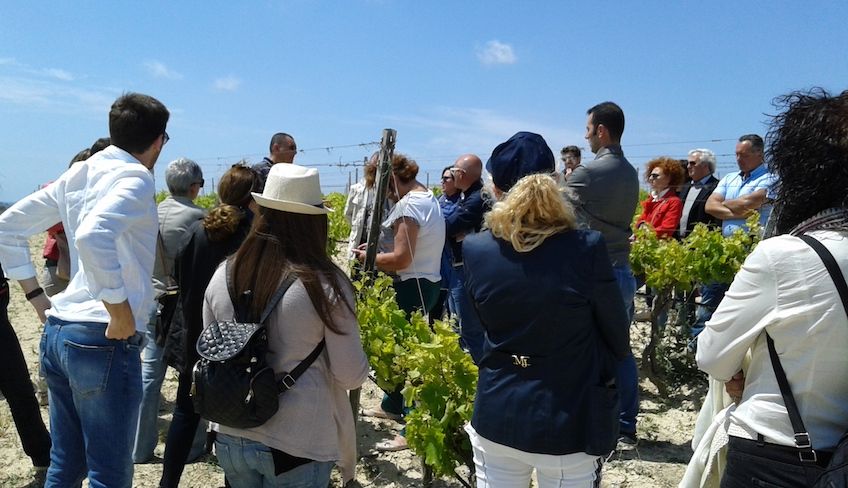 azienda agricola noto - degustazione vini noto