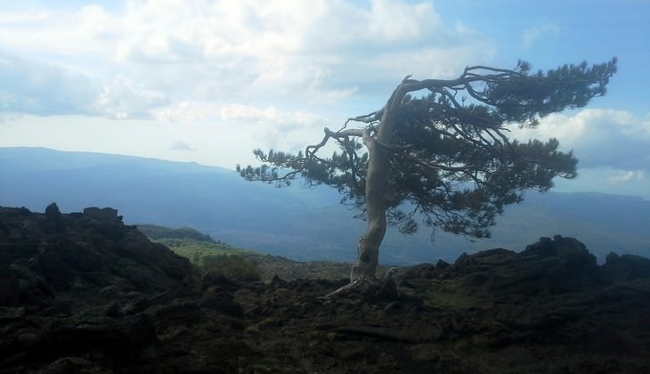 escursioni etna - etna trekking