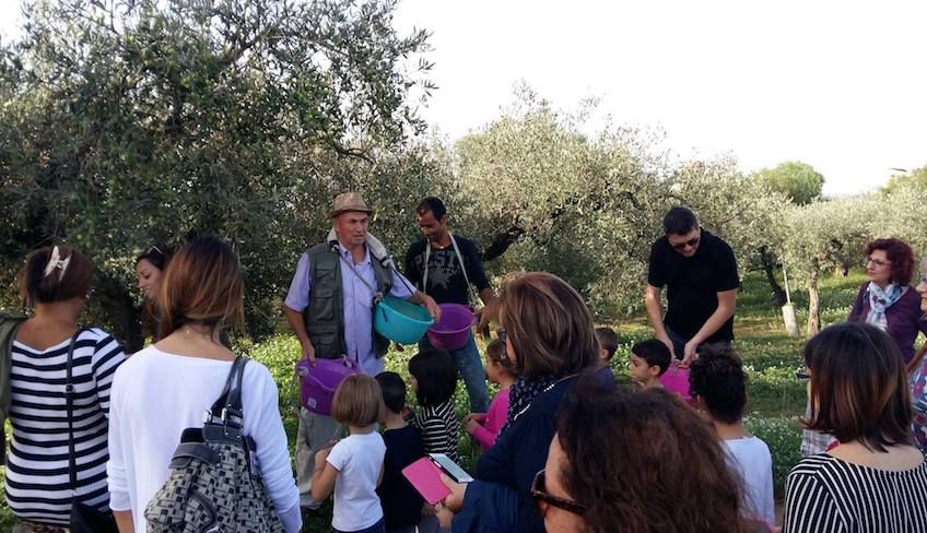 Cosa fare a trapani  - Olio extravergine di oliva trapani 